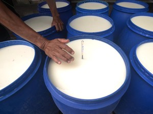 6 Jenis Makanan yang Bisa Picu Alergi Kulit, Wajib Tahu!