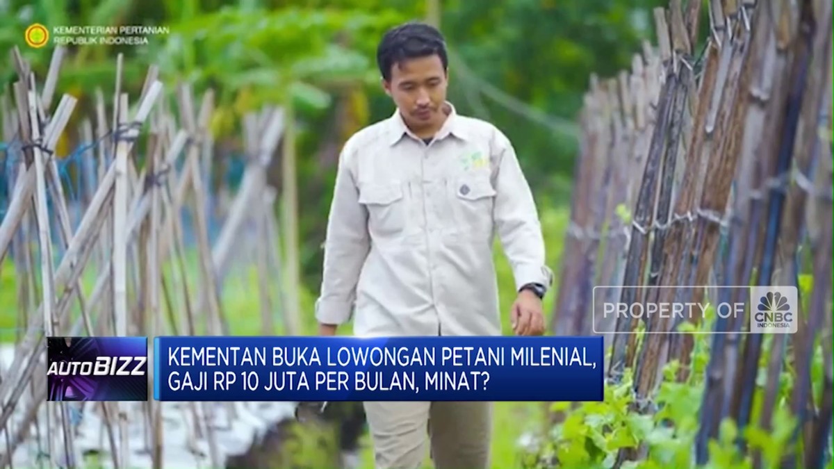Kesempatan Emas! Kementan Cari Petani Milenial dengan Gaji Menggiurkan Rp 10 Juta!