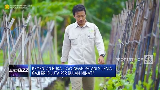 Kementan Buka Lowongan Petani Milenial, Gaji Rp 10 Juta Per Bulan