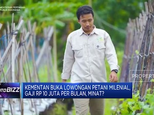 Kementan Buka Lowongan Petani Milenial, Gaji Rp 10 Juta Per Bulan