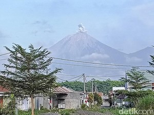 Kembali Erupsi, Gunung Semeru Luncurkan Abu Vulkanik 800 Meter