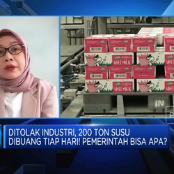 Video: Perbaiki Kualitas Susu, Peternak Susu Butuh Modal & Teknologi