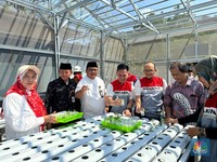 Anak Usaha PIS Luncurkan Program Desa Energi Berdikari di Cilegon