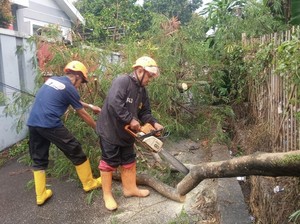 Hujan Angin di Sukabumi Bikin Atap Rumah Terbang-Pohon Tumbang