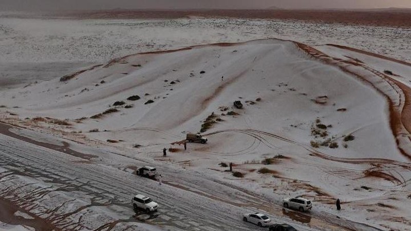 Salju menyelimuti unta di peternakan mereka di Provinsi Al Jawf, di utara Arab Saudi, pada Sabtu, 2 November 2024. (AP Photo)