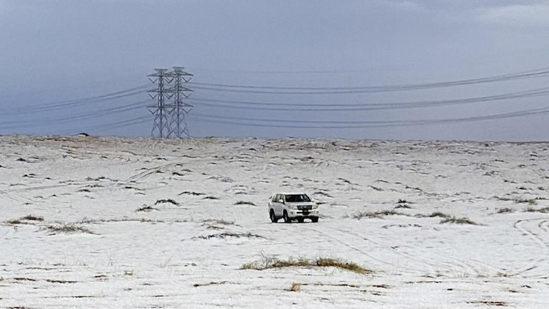 Salju menyelimuti unta di peternakan mereka di Provinsi Al Jawf, di utara Arab Saudi, pada Sabtu, 2 November 2024. (AP Photo)