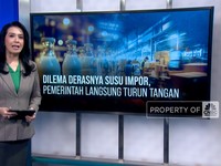Video: Dilema Derasnya Susu Impor, Pemerintah Langsung Turun Tangan