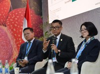 PLN Siap Dukung Pemerintah Capai 75% Energi Terbarukan hingga 2040