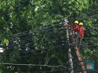 RI Butuh Rp 81,4 Triliun Bangun Jaringan Listrik Pintar Sampai 2034