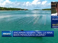Video: Pak Prabowo, La Nina Bisa Bikin Produksi Rumput Laut Turun 30%