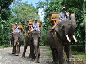 Eksplorasi Seru di Lembah Hijau, Wisata Alam dan Edukasi