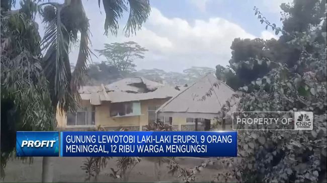 Video: Gunung Lewotobi Laki-laki Erupsi, 90 Penerbangan Dibatalkan