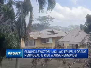 Video: Gunung Lewotobi Laki-laki Erupsi, 90 Penerbangan Dibatalkan