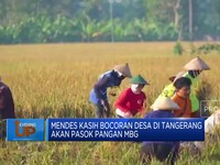 Video: Desa di Tangerang Bakal Pasok Pangan Untuk Program MBG
