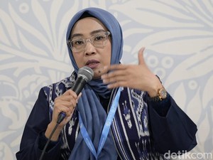 RI Serius Kembangkan Pembangkit Nuklir, Ini Tahapannya