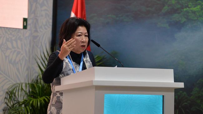 PLN Paparkan Inisiatif dan Strategi Pembiayaan Transisi Energi di COP29