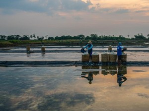 BRI Catat Portofolio Pembiayaan Berkelanjutan Capai Rp764,8 T di Q3-2024