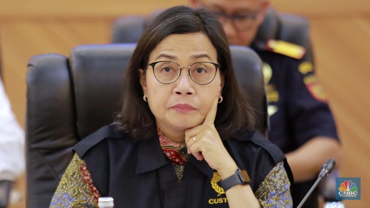 Sri Mulyani: Perjalanan Penuh Tantangan Menjadi Menteri Keuangan