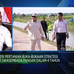 Video: Mentan Ungkap Jurus RI Swasembada Pangan Dalam 4 Tahun