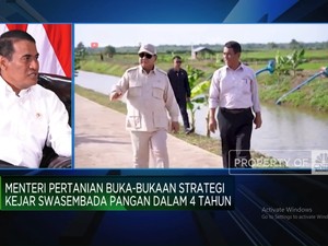 Video: Mentan Ungkap Jurus RI Swasembada Pangan Dalam 4 Tahun