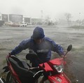 Bukan Sailormoon! Usagi Acak-Acak Tetangga RI, Warga Dievakuasi