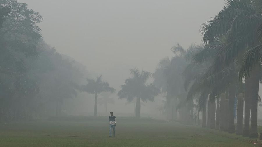 Suasana saat polusi kabut asap di New Delhi, India, Rabu (13/11/2024). (AP Photo)