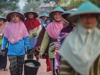 BRI Raih Penghargaan Indonesia Women's Empowerment Principles Awards
