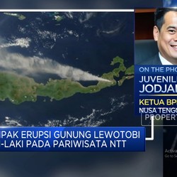 Video: Erupsi Gunung Lewotobi Bikin Okupansi Hotel NTT Anjlok 50%