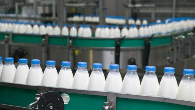 RI Buka Peluang Impor Susu dari AS, Mentan Amran Bilang Begini
