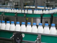 BPS Laporkan Impor Susu RI Turun 6,19% di Januari-November 2024