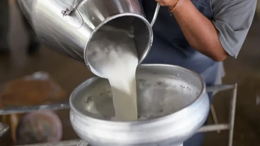 Susu impor. (Istimewa)