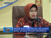 Video: Impor Susu Melonjak, Selandia Baru Kuasai Pasar Indonesia