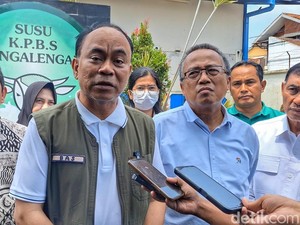 Peluang Produk Susu Lokal di Program Makan Bergizi Gratis