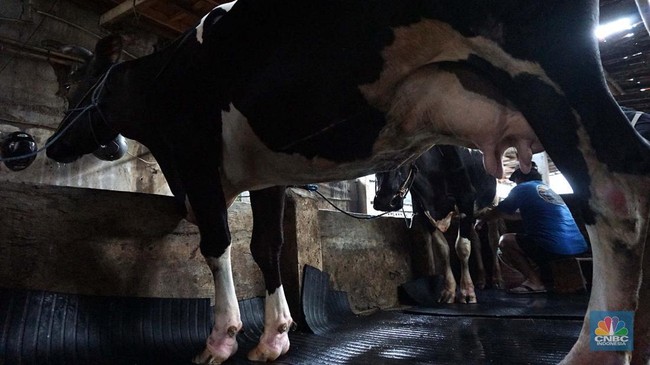 Tanda Kiamat Kian Jelas, Kini Muncul di Susu hingga Sawah