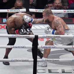 Terungkap Uang yang Diterima Mike Tyson & Jake Paul Usai Bertarung