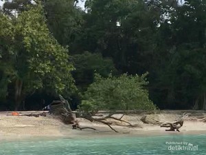 Ssst...Ada Cara Seru Nih Menikmati Pantai Pangandaran