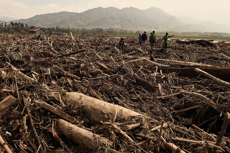 Warga berjalan di atas kayu gelondongan dan puing-puing yang tersapu banjir akibat Topan Usagi di Gonzaga, provinsi Cagayan, Filipina utara, Jumat (15/11/2024). (AP Photo/Noel Celis) Warga berjalan di atas kayu gelondongan dan puing-puing yang tersapu banjir akibat Topan Usagi di Gonzaga, provinsi Cagayan, Filipina utara, Jumat (15/11/2024). (AP Photo/Noel Celis)
