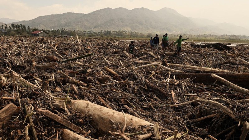 Warga berjalan di atas kayu gelondongan dan puing-puing yang tersapu banjir akibat Topan Usagi di Gonzaga, provinsi Cagayan, Filipina utara, Jumat (15/11/2024). (AP Photo/Noel Celis)