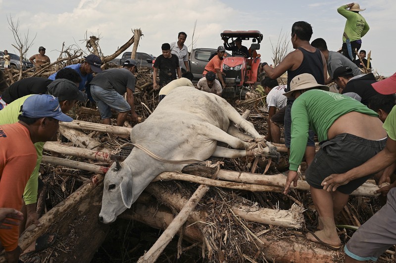 Warga berjalan di atas kayu gelondongan dan puing-puing yang tersapu banjir akibat Topan Usagi di Gonzaga, provinsi Cagayan, Filipina utara, Jumat (15/11/2024). (AP Photo/Noel Celis) Warga berjalan di atas kayu gelondongan dan puing-puing yang tersapu banjir akibat Topan Usagi di Gonzaga, provinsi Cagayan, Filipina utara, Jumat (15/11/2024). (AP Photo/Noel Celis)