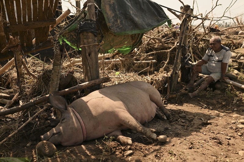 Warga berjalan di atas kayu gelondongan dan puing-puing yang tersapu banjir akibat Topan Usagi di Gonzaga, provinsi Cagayan, Filipina utara, Jumat (15/11/2024). (AP Photo/Noel Celis) Warga berjalan di atas kayu gelondongan dan puing-puing yang tersapu banjir akibat Topan Usagi di Gonzaga, provinsi Cagayan, Filipina utara, Jumat (15/11/2024). (AP Photo/Noel Celis)
