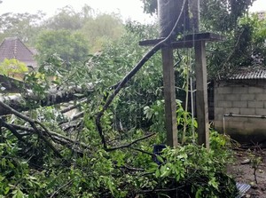 Hujan-Angin Terjang Tempel Sleman, Wanita Lansia Tertimpa Reruntuhan