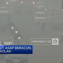 Video: Diselimuti Kabut Asap Beracun, India Tutup Sekolah