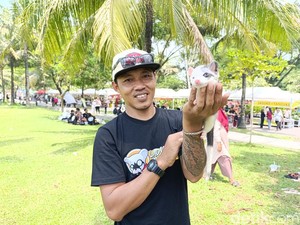 Cerita Iyan, dari Hobi Pelihara Musang hingga Jadi Peternak Sukses