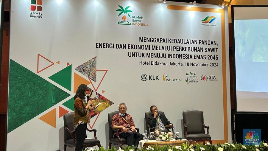 Ketua Umum Perhimpunan Ekonomi Pertanian Indonesia (Perhepi) Bustanul Arifin (tengah) saat Seminar Rumah Sawit Indonesia (RSI) di Jakarta, Senin (18/11/2024). (²©²ÊÍøÕ¾/Martyasari Rizky)