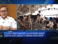 Video: Menko Zulhas Perintahkan Importir Serap Susu Peternak Lokal