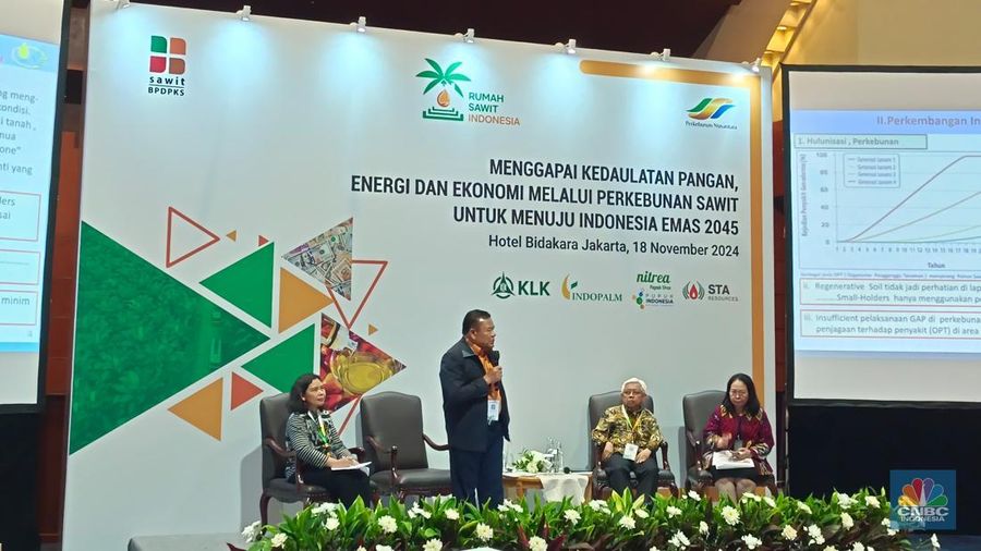 Plt. Ketua Dewan Minyak Sawit Indonesia (DMSI), Sahat Sinaga saat memberikan paparan di Seminar Rumah Sawit Indonesia (RSI) di Jakarta, Senin (18/11/2024). (CNBC Indonesia/Martyasari Rizky)