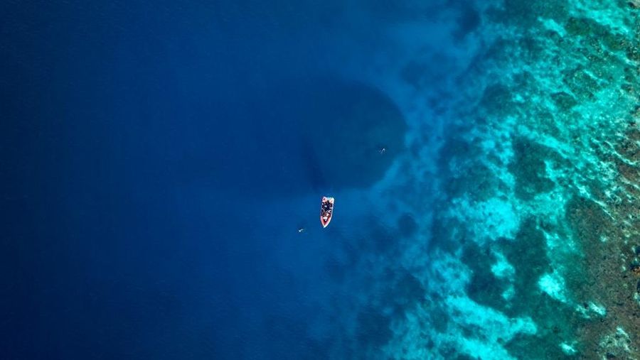 Sebuah kapal selam berlayar di atas karang terbesar di dunia yang terletak di dekat Kepulauan Solomon di Pasifik. (Photo by MANU SAN FELIX / NATIONAL GEOGRAPHIC PRISTINE SEAS / AFP)