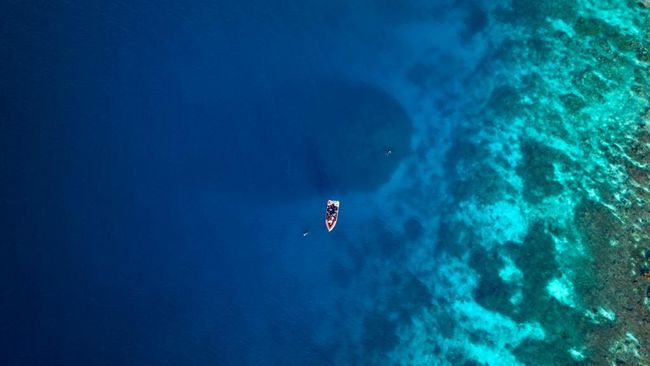 Raksasa Laut Terlihat dari Luar Angkasa, Ilmuwan Kaget