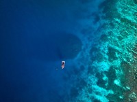 Raksasa Laut Terlihat dari Luar Angkasa, Ilmuwan Kaget