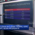 Video: Anak Usaha ADRO Mau IPO, Intip Prospeknya!
